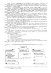 Pedagogikos profesijos esmė ir ypatumai 3 puslapis