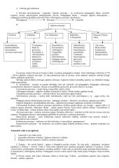 Pedagogikos profesijos esmė ir ypatumai 5 puslapis