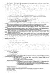 Pedagogikos profesijos esmė ir ypatumai 7 puslapis