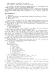 Pedagogikos profesijos esmė ir ypatumai 8 puslapis