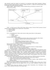 Pedagogikos profesijos esmė ir ypatumai 9 puslapis