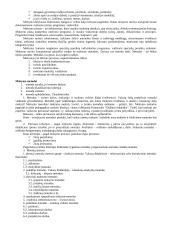 Pedagogikos profesijos esmė ir ypatumai 10 puslapis