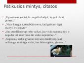 Romualdas Granauskas ,,Trečias gyvenimas“ 4 puslapis