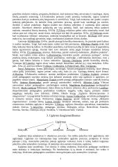 Pedagogikos svarbiausios sąvokos bei temos 2 puslapis