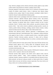 Pedagogika arba ugdymas 18 puslapis