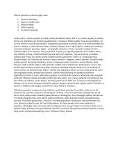 Mitinio pasaulio supratimas pagal mane