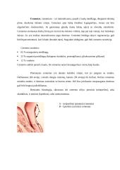 Periodonto histologija ir biomechaninė funkcija 5 puslapis