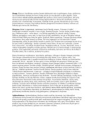 Riteris ir riteriškumas