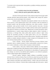 Socializacija 11 puslapis