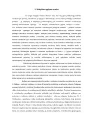 Socializacija 13 puslapis