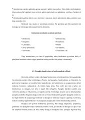 Socializacija 15 puslapis