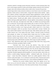 Socializacija 19 puslapis