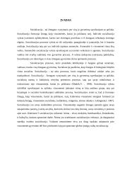 Socializacija 2 puslapis
