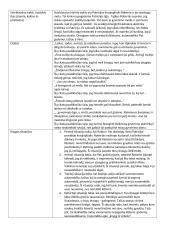 Remarko „Trys draugai“ kūrinio analizė 2 puslapis