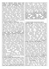 Personalo vadybos teorija atsiskaitymui 3 puslapis