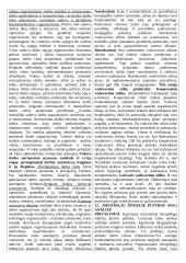 Personalo vadybos teorija atsiskaitymui 4 puslapis