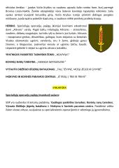 Specialiųjų operacijų pajėgos 2 puslapis