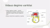 Šiluminiai varikliai skaidrės 8 puslapis