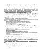 Planavimas ir prognozavimas organizacijoje 12 puslapis