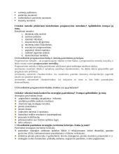 Planavimas ir prognozavimas organizacijoje 4 puslapis