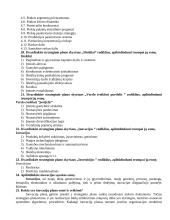 Planavimas ir prognozavimas organizacijoje 6 puslapis