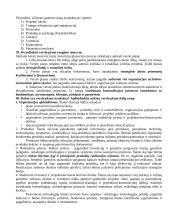 Planavimas ir prognozavimas organizacijoje 9 puslapis