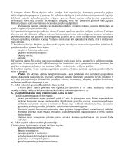 Planavimas ir prognozavimas organizacijoje 10 puslapis