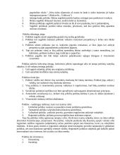 Politikos objektas 2 puslapis