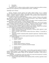 Politikos objektas 3 puslapis