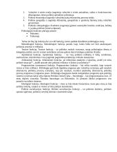 Politikos objektas 4 puslapis
