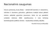 Grėsmės nacionaliniam saugumui