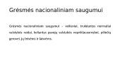 Grėsmės nacionaliniam saugumui 2 puslapis
