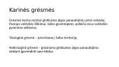 Grėsmės nacionaliniam saugumui 8 puslapis