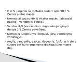 Nemetalų apžvalga skaidrės 4 puslapis