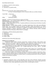 Politinės institucijos (konspektas)