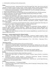 Politinės institucijos (konspektas) 2 puslapis