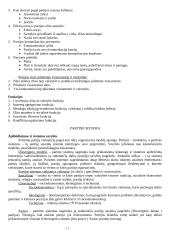 Politinės institucijos (konspektas) 11 puslapis