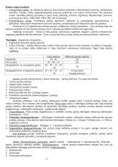 Politinės institucijos (konspektas) 12 puslapis