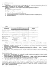 Politinės institucijos (konspektas) 13 puslapis