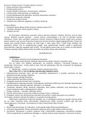 Politinės institucijos (konspektas) 16 puslapis