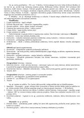 Politinės institucijos (konspektas) 20 puslapis