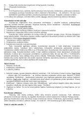 Politinės institucijos (konspektas) 3 puslapis