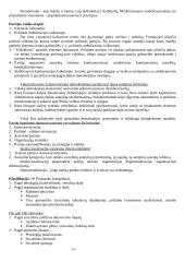 Politinės institucijos (konspektas) 10 puslapis