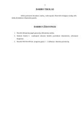 Praktinė informatika. Buhalterinė apskaita 2 puslapis