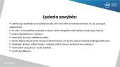 Lyderystė versle 10 puslapis