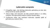 Lyderystė versle 3 puslapis