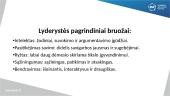 Lyderystė versle 6 puslapis