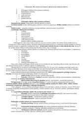 Politologijos mokslo objektas