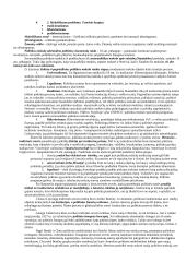 Politologijos mokslo objektas 2 puslapis