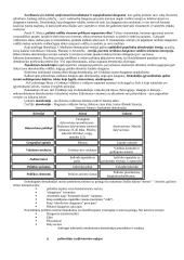 Politologijos mokslo objektas 11 puslapis